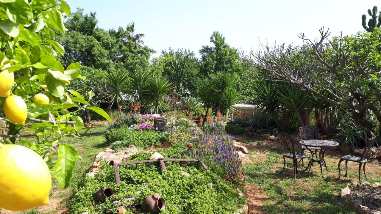 Retiro Da Janela Bed & Breakfast Boliqueime Eksteriør bilde